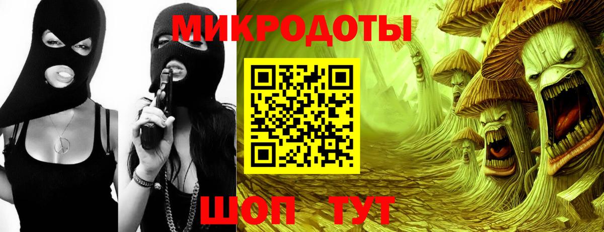 Псилоцибиновые грибы Psilocybe Советская Гавань