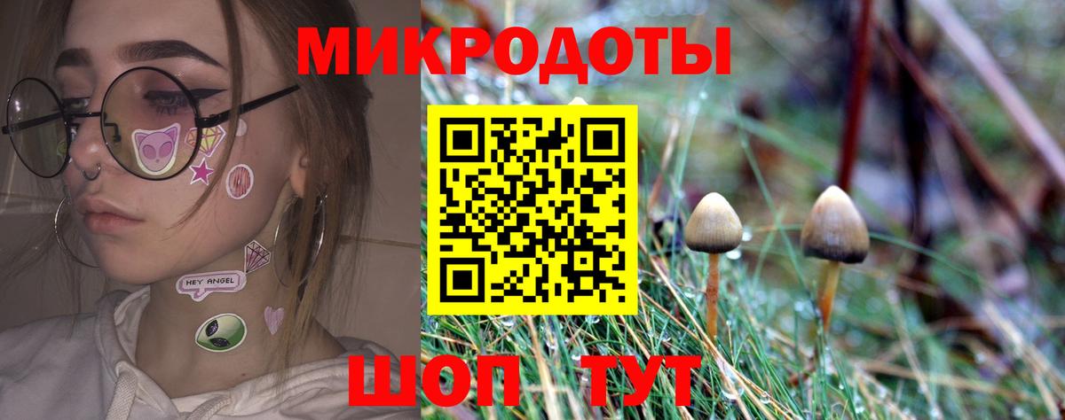 Галлюциногенные грибы Cubensis  Вход с VPN  Советская Гавань 